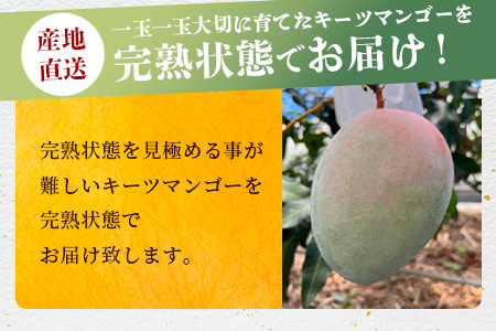 《2025年7月下旬～8月下旬発送》【先行予約】最高糖度23度！？ 完熟！7Lサイズ 幻のキーツマンゴー【 沖縄 石垣島 石垣 八重山 マンゴーキーツマンゴー 期間限定 数量限定 沖縄県 石垣島産 完熟 】TF-3-1