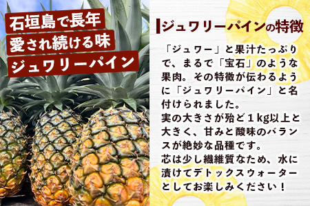 《2026年5月～7月順次発送》【先行予約】島のおいしいを贅沢に！パイナップル2種とマンゴー1種のよくばり定期便【 沖縄 石垣 ピーチ マンゴー パイン パイナップル 完熟 セット フルーツ デザート 食べ比べ 定期便 】 TF-38_R8