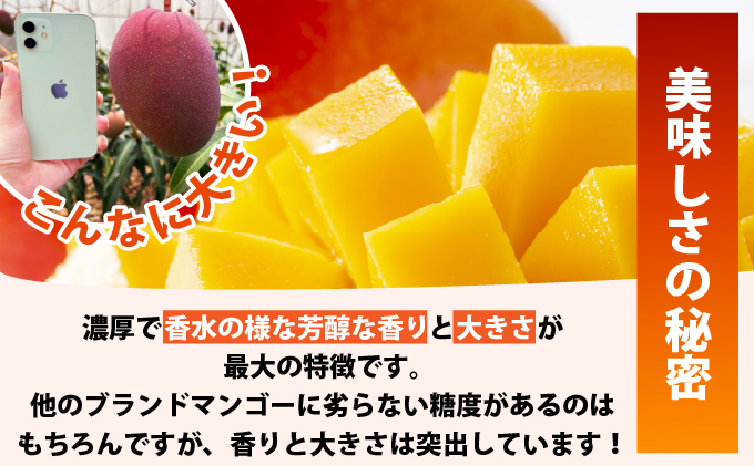 最高糖度20度！？冬眠マンゴー、ミニマンゴーと完熟パイン4種のジュース