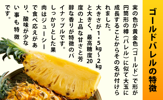 【先行予約2026年5月下旬ころから順次発送】最高糖度20度！？石垣島産完熟ゴールドバレル 1玉 約1.7kg