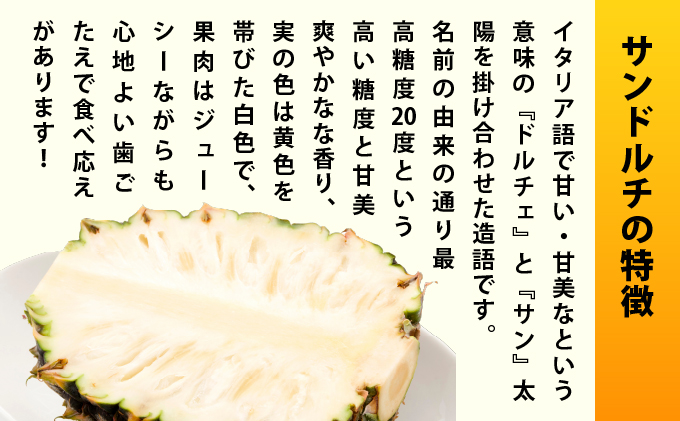 【先行予約2026年6月下旬頃から順次発送】最高糖度20度！？クリーミーな味わいが魅力の石垣島産完熟サンドルチェ 2個セット