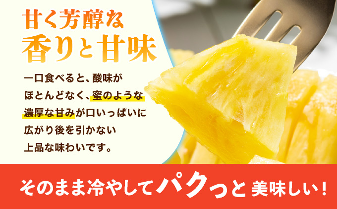 ≪5月上旬順次発送≫ ゴールドバレル 大 3玉（約4.5kg） TP-17