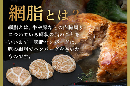 石垣島産 やえやまファームのアグー豚(南ぬ豚) 網脂ハンバーグ食べ比べセット(3種×各2個)  E-26