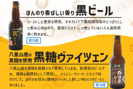 【冷蔵】石垣島ビール詰め合わせ　おまかせ１２本セット　V-22