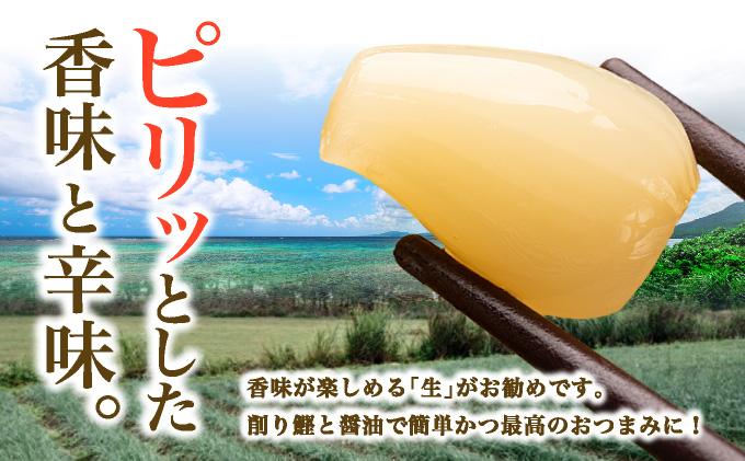 ≪2026年2月下旬～5月下旬発送≫採れたて島らっきょう 1kg 【 沖縄県 石垣市 野菜 らっきょう 島らっきょう おつまみ 採れたて 料理 漬物 天ぷら おかぴ農園 産地直送 】OK-01 1kg
