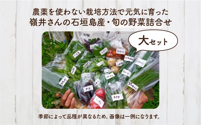 嶺井さんの石垣島旬の野菜詰合せ（大セット）OI-23 大セット