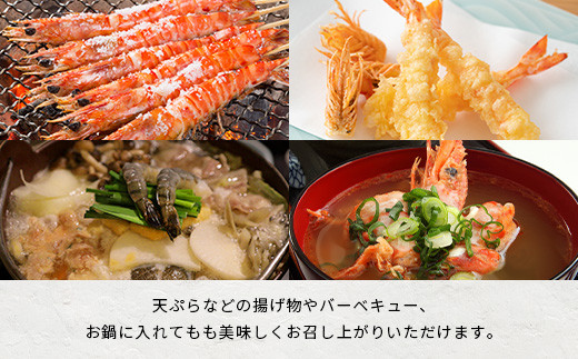 車えび500g【冷凍】25尾 ～ 33尾 沖縄県 石垣島 石垣市 クルマエビ くるまえび Sサイズ【嬉しい真空パック】エビ 海老 えび BE-05