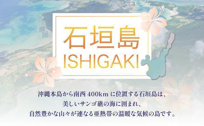 石垣パッケージ旅行補助券(300,000円分) OTI-04 クーポン300,000円分