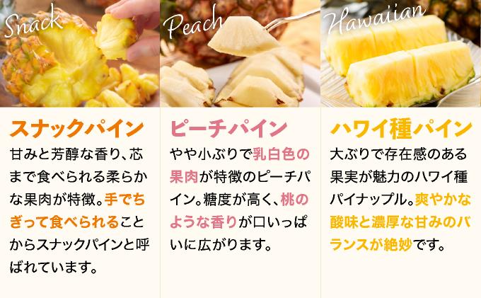 石垣島産パイナップル 2～6個 約3kg 《2026年4月下旬発送》 | ふるさと納税 パイナップル 産地直送 フルーツ 果物 沖縄県石垣市 石垣 沖縄 石垣市 石垣島 KP-14