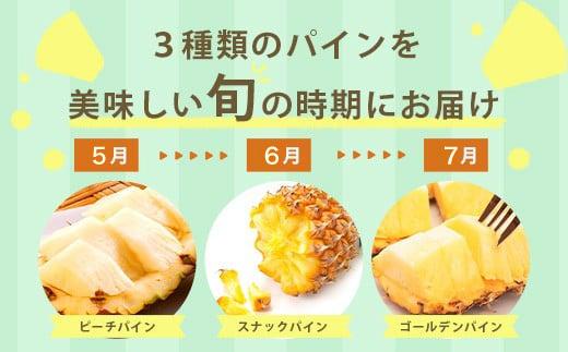 【予約受付】【定期便】石垣島産 パイナップル 3回 定期 3種 計6玉【2026年 5月頃・6月・7月頃お届け】  ふるさと納税 パイナップル パイン フルーツ 果物 果実 定期便 定期 3回 3か月 沖縄県 石垣市 石垣島 産地直送 ふるさと 人気 送料無料 KP-18