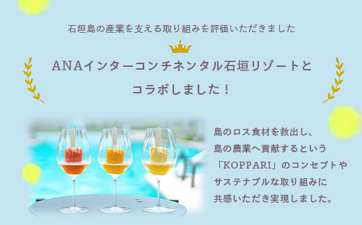 ＜期間限定 春フェア＞ 石垣島産 パイナップル 青果とフローズンのセット 6回定期便 | 青果3回 冷凍3回 沖縄県 石垣市 果物 果物 南国フルーツ パイン 送料無料 コッパリ