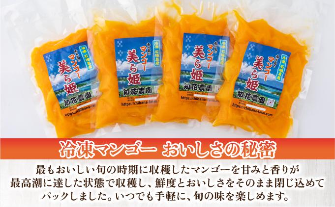 冷凍美ら姫マンゴー 1kg（500g×2袋）CB-3 1kg