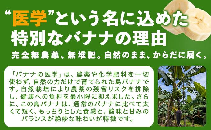 バナナの医学 石垣島産 島バナナ 約1kg 農薬不使用 | バナナ 石垣 沖縄 1kg 無農薬 DF-001