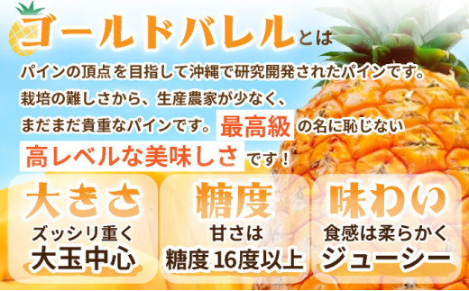 ＜先行予約＞ 石垣島産 ゴールドバレル１玉 約2.0kg ギフト用梱包 ＜2026年7月以降発送＞ | ギフト 贈り物 産地直送 沖縄 石垣 フルーツ パイナップル パイン ゴールドバレルパイン SI-127 【大玉】1玉入り(約2kg)ギフト用