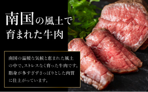 【順次発送】【注目の逸品】極上ローストビーフ 石垣島産《黒毛和牛》 400g | お肉 肉 牛肉 冷凍 和牛 牛肉 冷凍 丼 ジューシー 人気 おすすめ 国産 国産牛 小分け 八重山食肉センター 400g【順次発送】