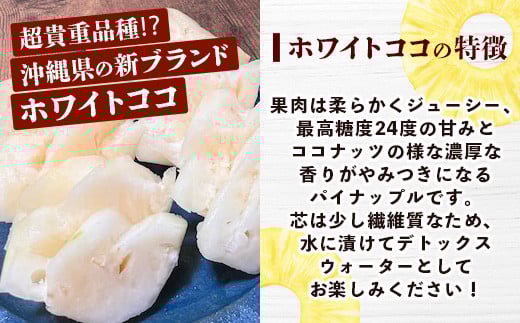 【マツコの知らない世界で絶賛！】《2026年5月～7月順次発送》最高糖度20度！？ 完熟の極 石垣島産ジュワリーパインとホワイトココの食べ比べセット 【 沖縄 石垣島 石垣 八重山 パイン ホワイト ジュワリー 期間限定 数量限定 TV テレビ 紹介 マツコ 】TF-20_R8