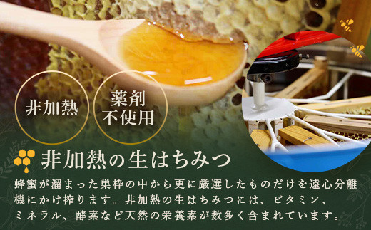 石垣島はちみつ　春蜜 200g×2本（ソフトボトル）≪春蜜をご家庭用に≫ 【 石垣島産 沖縄 石垣 はちみつ 蜂蜜 ハニー ハチミツ 】HC-3