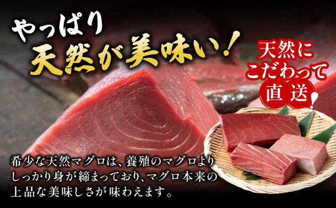 【数量限定】石垣島産 天然本マグロ600g (まぐろ赤身・中トロ・大トロのミックスセット) ヤエスイ マグロ船直送【順次発送】 | 産地直送 大トロ 大とろ 中トロ 中とろ 国産 まぐろ 鮪 天然 赤身 魚 お刺身 本まぐろ マグロ 沖縄県 沖縄 琉球 八重山 八重山諸島 石垣島 石垣 石垣島産 天然本マグロ3種セット