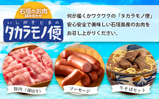 【先行予約】【新感覚】石垣島の「お肉」詰め合わせ～タカラモノお肉便 SH-6【沖縄 石垣 石垣島 八重山諸島 お肉  南国 詰め合わせ】