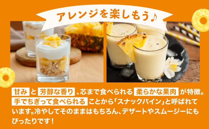 【2026年4月中旬発送】訳あり 石垣島産 スナックパイン 約4kg（4～10個）KP-01 | ふるさと納税 パイナップル 産地直送 フルーツ 果物 パイン 石垣 沖縄 沖縄県石垣市 石垣島 スナックパイン 約4kg