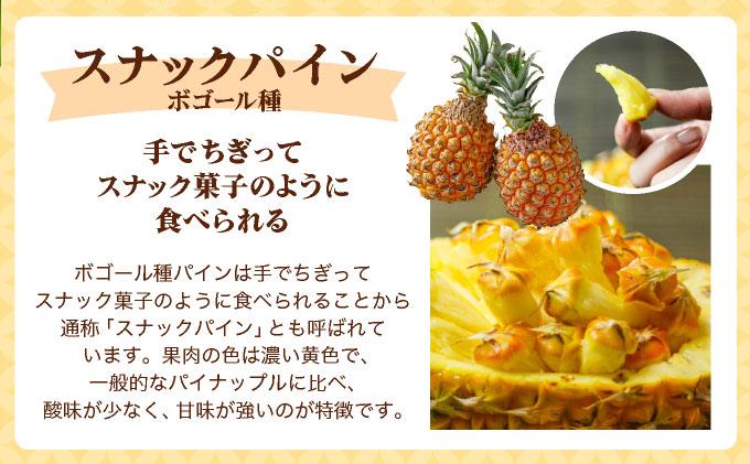 ＜先行予約＞ ピーチパイン スナックパイン 各2玉セット ＜2026年4月発送＞ | 沖縄県 石垣市 石垣島産 パイン パイナップル ZH-024
