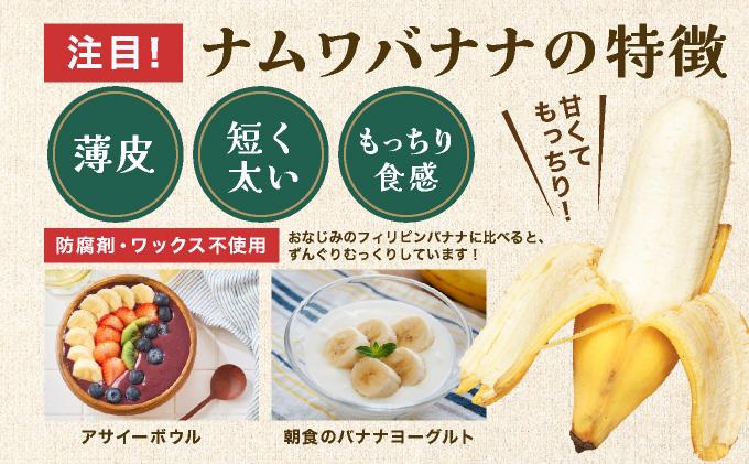 ≪2026年4～10月順次発送≫ 石垣島産 希少な国産『ナムワバナナ』を贅沢に1房丸ごと約1kg（8-12本） TF-101_R8 約1kg（8-12本）