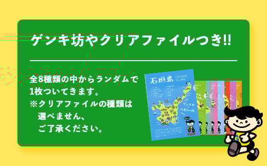 【ふるさと納税限定】ゲンキクールバリューセット【八重山ゲンキ乳業】【石垣島のソウルドリンク ゲンキクール】GN-1 通常便