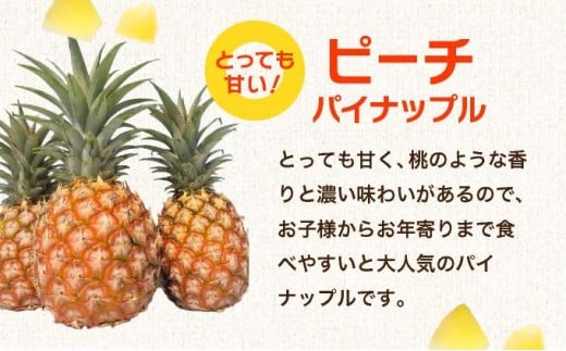石垣島産フローズンパイナップル3種食べ比べセット 正規品：150g×6個(3種2個ずつ)