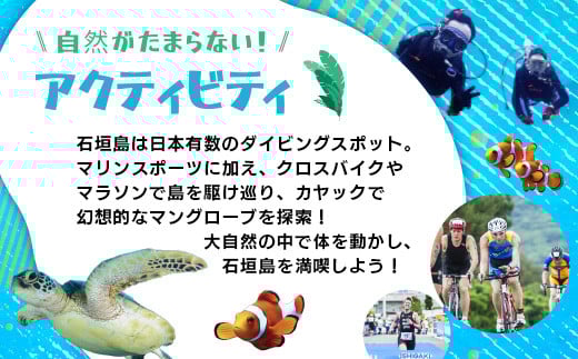 HISの沖縄県石垣市の対象ツアーに使えるふるさと納税クーポン券6,000円分【 沖縄県石垣市 石垣市 石垣島 ツアー HIS クーポン 券 6000 】HS-2