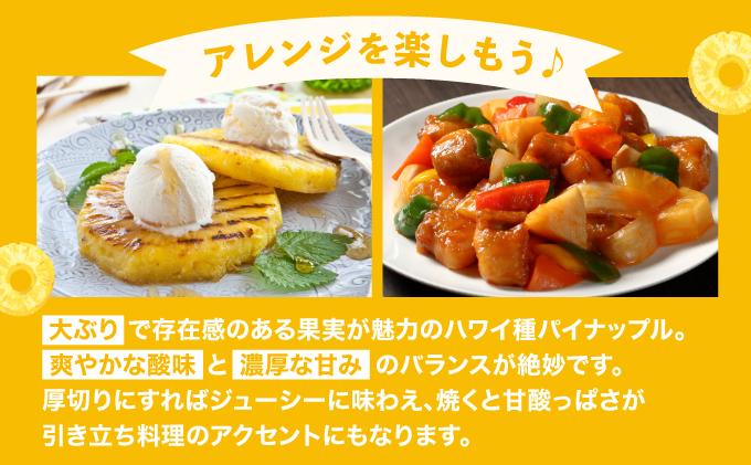 【2026年4月中旬発送】訳あり 石垣島産 ハワイ種パイナップル 約4kg（4～10個）KP-02 | ふるさと納税 パイナップル 産地直送 フルーツ 果物 パイン 石垣 沖縄 沖縄県石垣市 石垣島 ハワイ種 約4kg