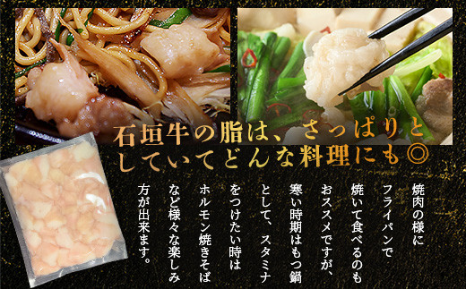 希少な特選石垣牛のホルモンをご家庭で！！マルチョウ300g×3パック【 沖縄 石垣 和牛 石垣牛 希少 特選 肉 ホルモン マルチョウ 冷凍 小分け 】IM-13