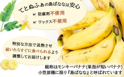 【先行予約 2026年5～10月順次発送】バナナ好きに届けたい！！完全無農薬栽培 もっちり食感がやみつきの希少な国産『プレミアム島ばなな』贅沢に1房丸ごと約1kgお届け！！ 【2026年5~10月発送】約1kg