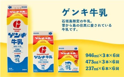 【ふるさと納税限定】【定期便_6回】八重山ゲンキ乳業 全種バリューセット【八重山ゲンキ乳業】【ゲンキ牛乳】【石垣島のソウルドリンク ゲンキクール】【ゲンキカフェ】【さんぴん茶ミルクティー】GN-4_6t 定期便6回