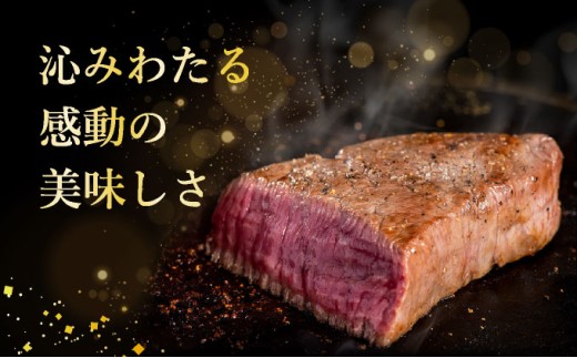 【2025年11月以降順次発送】希少な特選石垣牛をご家庭で！！肉の旨味あふれる上赤身（ウチモモ、シンタマ、ランプ）ステーキ肉　合計400g | 沖縄 石垣 特選 牛 上 赤身 ウチモモ シンタマ ランプ 肉 ステーキ 真空 冷凍 | IM-49 上赤身(3種)ステーキ 200g×2