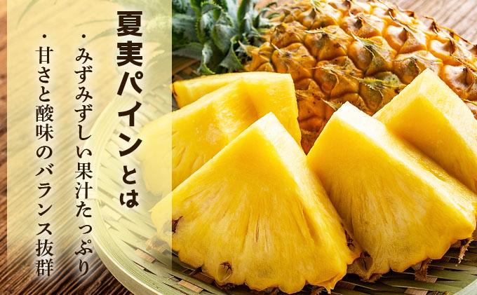 【先行予約】石垣島産 夏実パイン (ハワイ種) 中玉6玉 約5.7kg《2026年7月下旬発送》【 産地直送 沖縄 石垣 フルーツ パイナップル パイン ハワイ 夏実パイン 】SI-126 中玉6玉 約5.7kg
