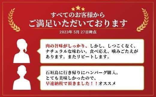 石垣牛 ハンバーグ セット (100g×10個)＜2026年5月発送＞ | 国産 石垣牛100% 沖縄 石垣島産 高級 黒毛和牛 ビーフ ハンバーグセット 2026年5月発送