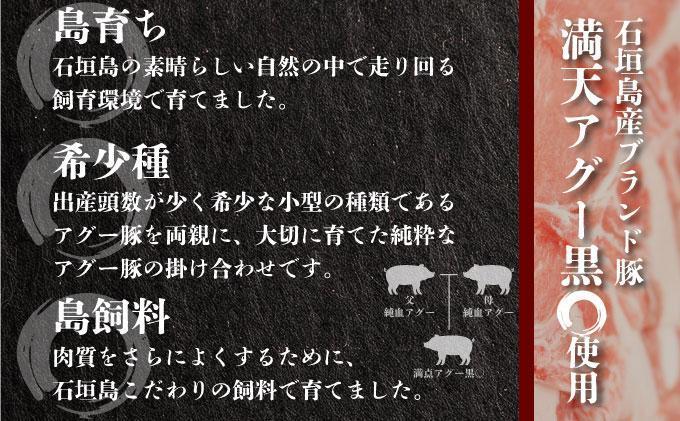 満天アグー 3種セット (ローストポーク 300g ハンバーグ 150g×2 ウインナー 200g×2) | ふるさと納税 沖縄県 石垣市 石垣 沖縄 石垣島 ふるさと 人気 送料無料 アグー 豚 豚肉 ポーク 3種セット