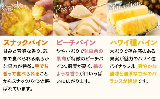 【訳あり】 石垣島産 パイナップル 詰め合わせ 約8kg (6～20個)《2026年4月下旬から発送》 | ふるさと納税 パイナップル 産地直送 フルーツ 果物 パイン 石垣 沖縄 沖縄県石垣市 石垣島 KP-16 季節の詰め合わせ 約8kg