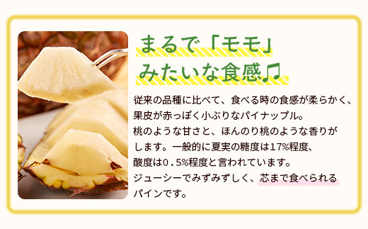 ＜先行予約＞ 石垣島産 有機パイナップル ピーチ種 2～4玉 (約2.4kg)《6月上旬順次発送》| パイナップル パインアップル 石垣島パイン フルーツ 果物 くだもの 南国フルーツ 国産パイン E-40