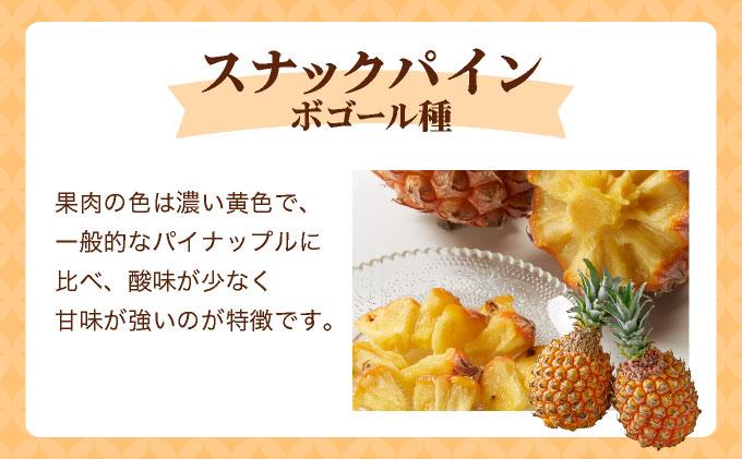 ＜先行予約＞ スナックパイン 4玉 ＜2026年4月発送＞ | 沖縄県 石垣市 石垣島産 パイン パイナップル ZH-018