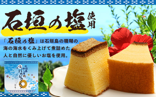 石垣島 やし屋手作り 石垣の塩バウムクーヘン×1箱 ＆ 黒糖バウムクーヘン×1箱＆手作り黒糖菓子　詰め合わせセット【 沖縄県 石垣市 石垣島 黒糖 石垣の塩 手作り 菓子 バウムクーヘン 】YA-4