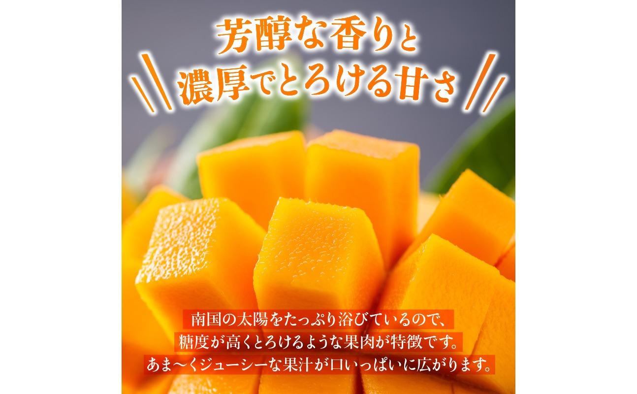 【2026年発送 先行予約】石垣島のマンゴー 約2kg  【沖縄県 石垣市 産地直送 旬 石垣島産 マンゴー 完熟マンゴー】HI-2