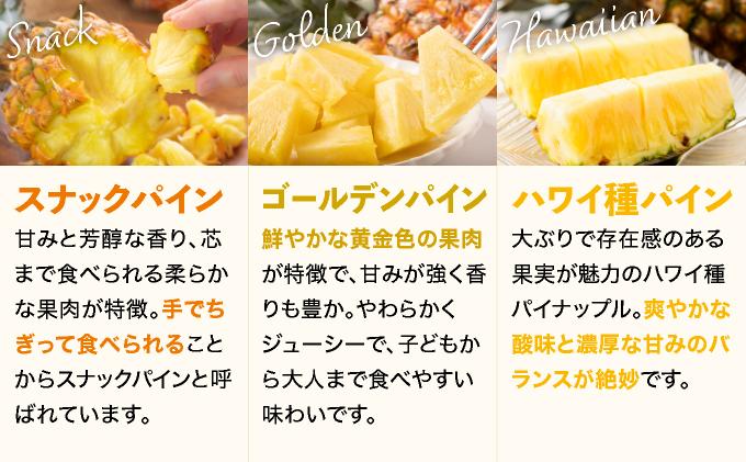 【予約受付】【定期便】石垣島産 パイナップル 3回 定期 3種 計6玉【2026年 5月頃・6月・7月頃お届け】  ふるさと納税 パイナップル パイン フルーツ 果物 果実 定期便 定期 3回 3か月 沖縄県 石垣市 石垣島 産地直送 ふるさと 人気