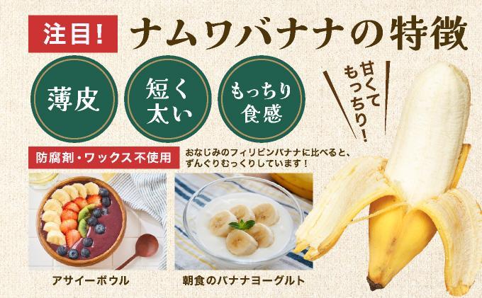 ≪2026年4～10月順次発送≫ 石垣島産 希少な国産『ナムワバナナ』を贅沢に1房丸ごと約1.5-2kg（12-20本） TF-102_R8 約1.5-2kg（12-20本）