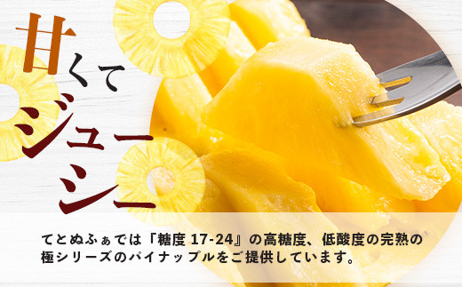 【予約受付】《2026年5月下旬～7月中旬発送》最高糖度18度！？ 完熟の極 石垣島産ジュワリーパイン 【 沖縄県 石垣市 石垣島 完熟 パイン パイナップル ジュワリー 予約受付 】TF-16-1_R8