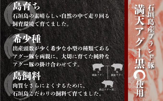 満天アグー 2種セット (ハンバーグ 150g×2 ウインナー 200g×2) | ふるさと納税 沖縄県 石垣市 石垣 沖縄 石垣島 ふるさと 人気 送料無料 アグー 豚 豚肉 ポーク 2種(ハンバーグ＆ウインナー)