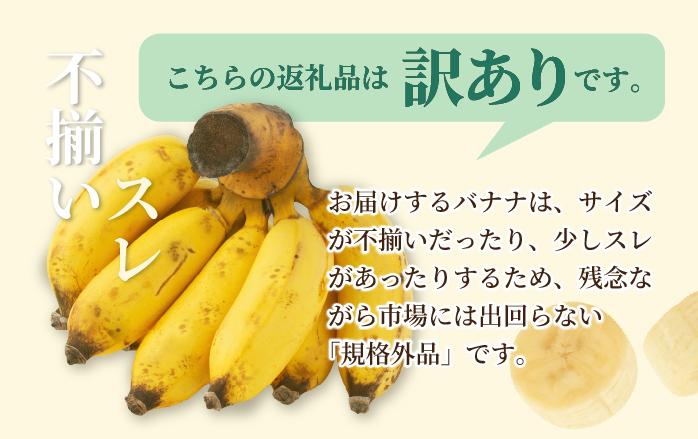＜訳あり＞ 大満足！石垣島産バナナ3房 ＜2026年6～10月発送＞ KP-022
