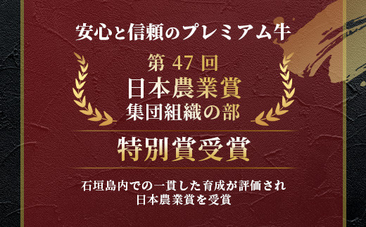 ≪特選≫ 石垣牛100% ハンバーグ (100g×3個) ＆ ≪特選≫ 石垣牛 元卸のお任せ焼肉 (180g) セット（八重山パーツミート）I-17-1