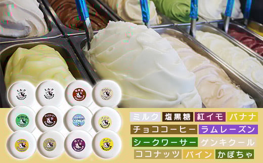 石垣島ミルミル本舗 南の島から島素材ジェラート！【定番人気セット 12個入り】（1個 132ml）　Z-7　【石垣島 石垣市 沖縄県石垣市 セット ジェラート 石垣島産 八重山】  定番人気セット