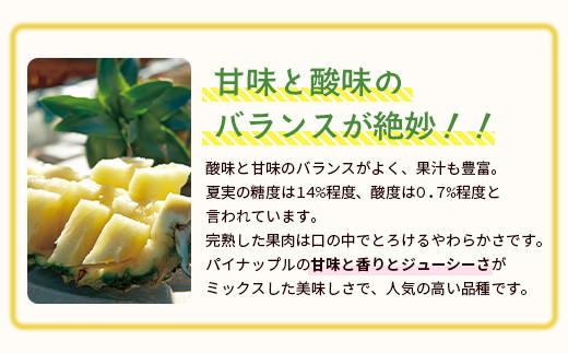＜先行予約＞ 石垣島産 有機パイナップル ハワイ種 2～4玉 (約2.8kg)《7月上旬順次発送》| パイナップル パインアップル 石垣島パイン フルーツ 果物 くだもの 南国フルーツ 国産パイン E-39